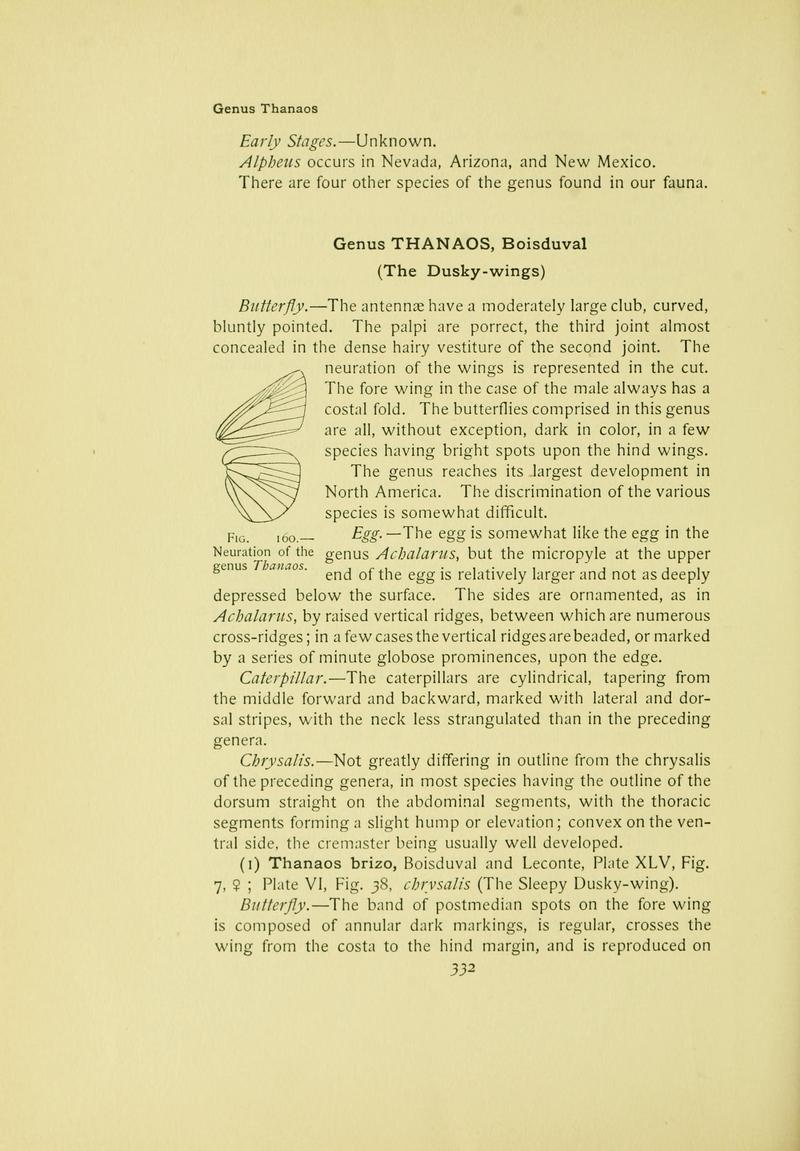 The butterfly book (Page 332) BHL10081488