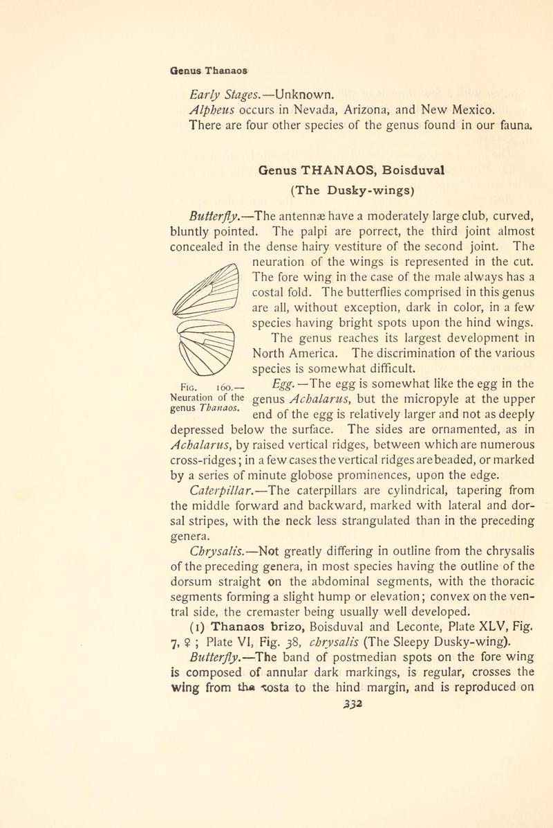 The butterfly book (Page 332, Fig. 160) BHL4428893