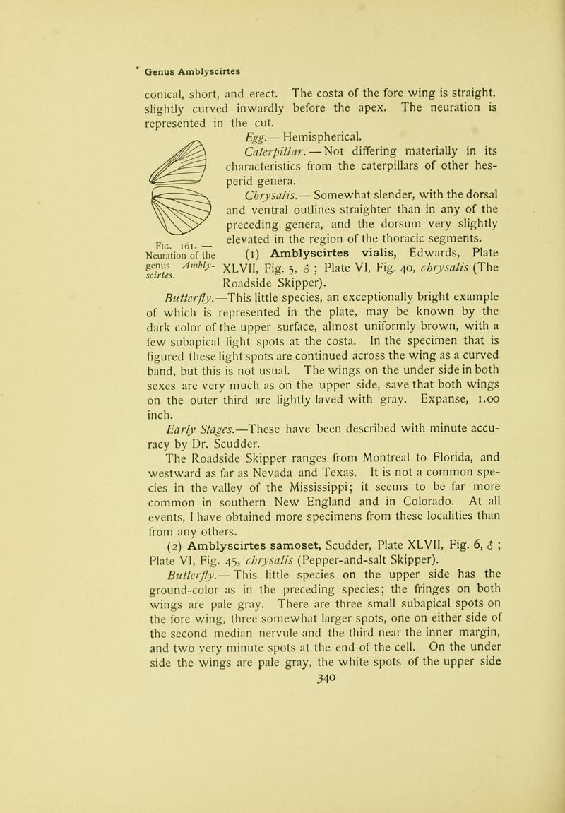 The butterfly book (Page 340) BHL10081500