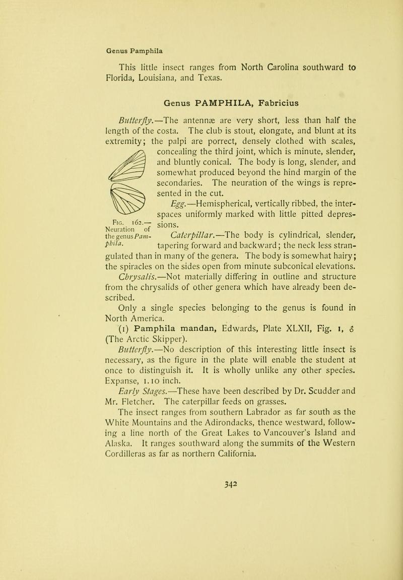 The butterfly book (Page 342) BHL10081502