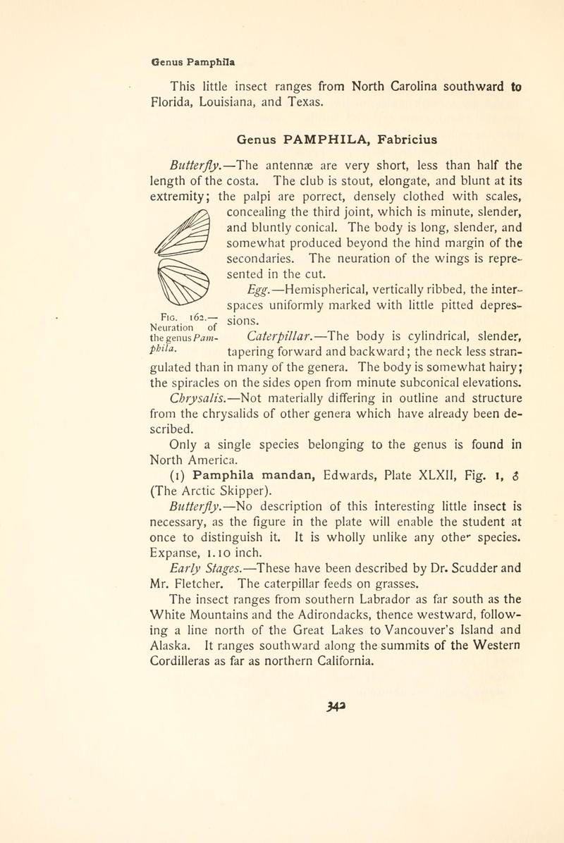The butterfly book (Page 342, Fig. 162) BHL4428907