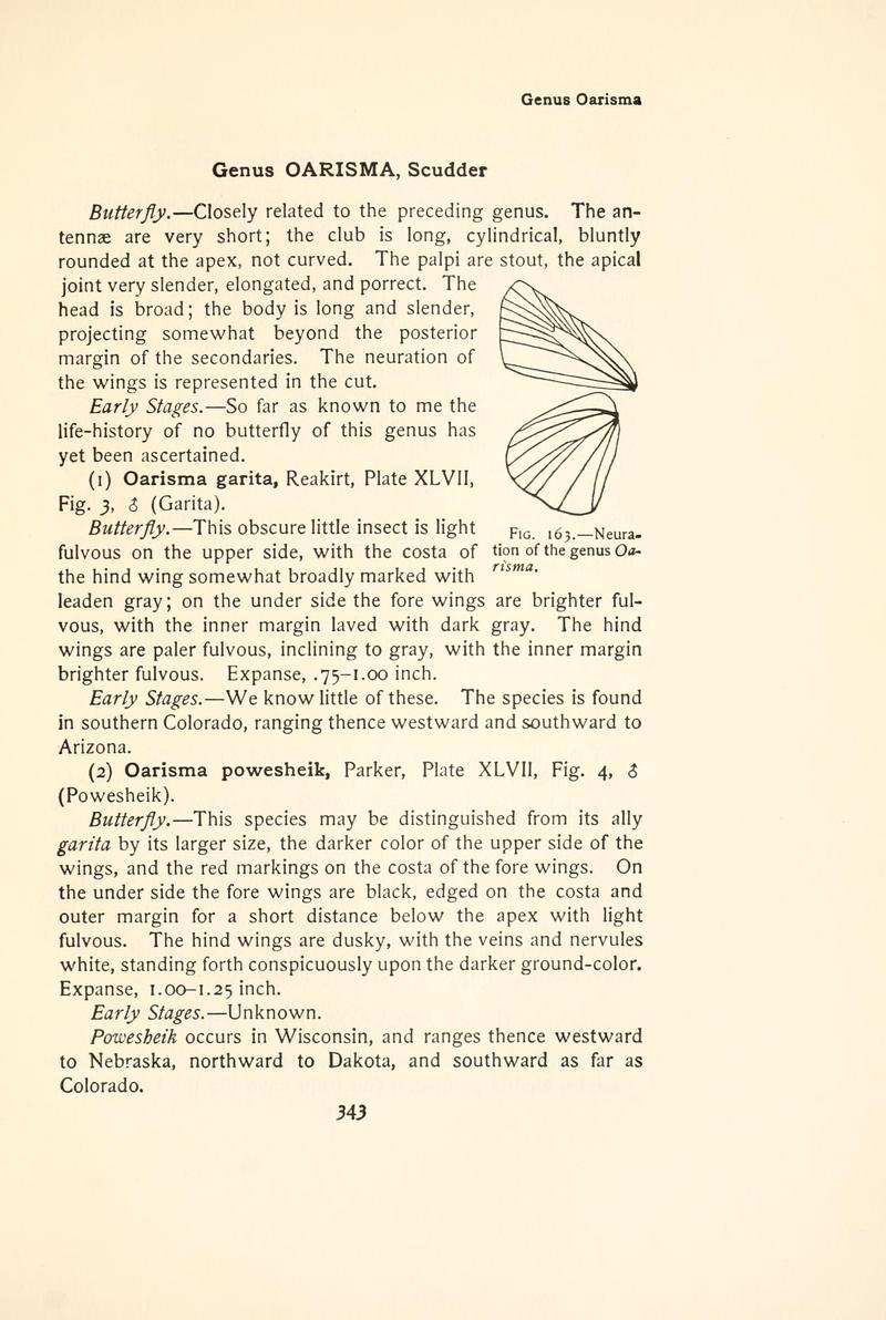 The butterfly book (Page 343, Fig. 163) BHL4428908