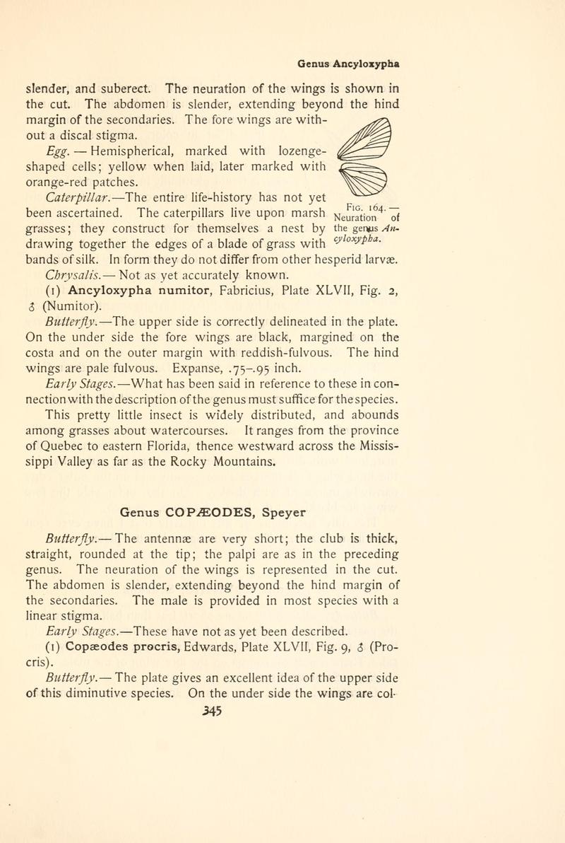 The butterfly book (Page 345, Fig. 164) BHL4428910