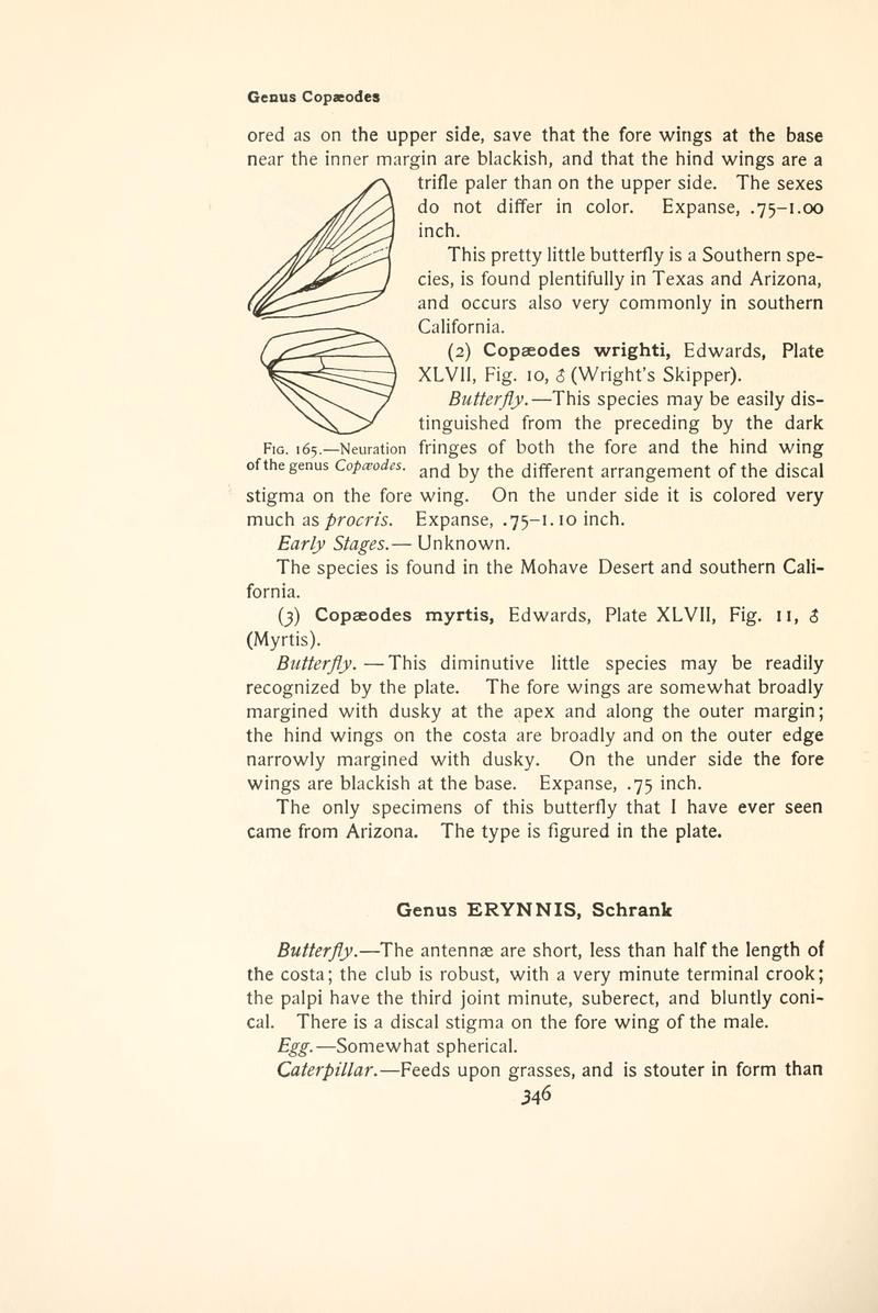 The butterfly book (Page 346, Fig. 165) BHL4428911