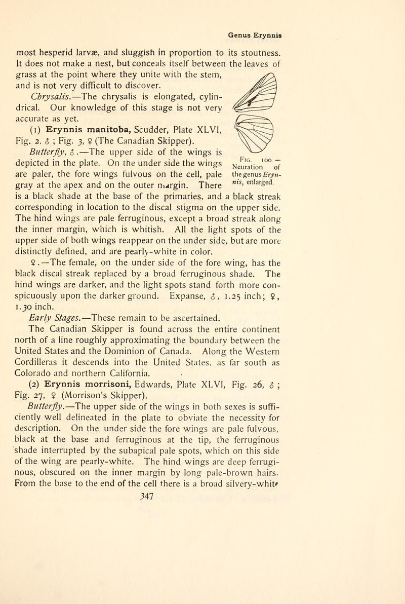 The butterfly book (Page 347, Fig. 166) BHL4428912