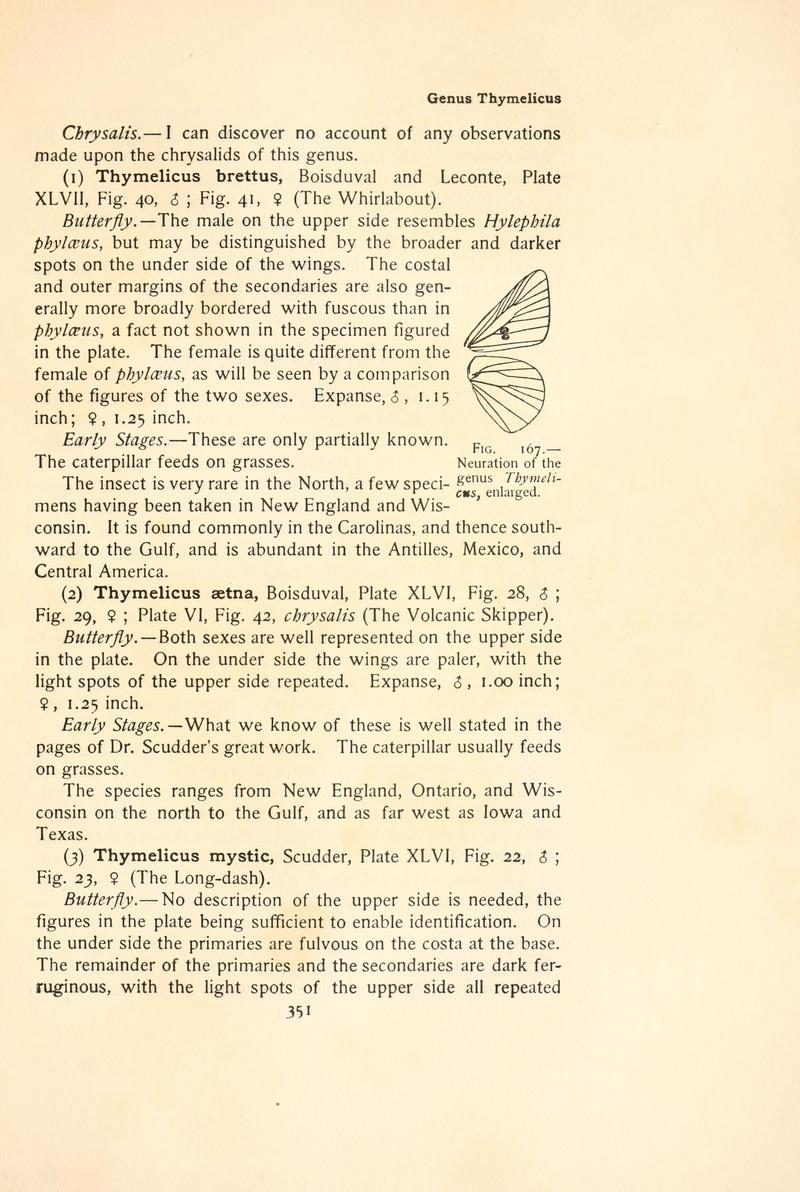 The butterfly book (Page 351, Fig. 167) BHL4428920