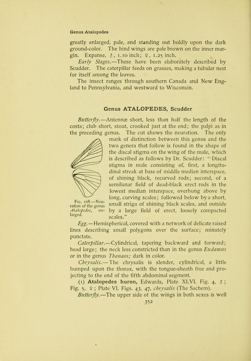 The butterfly book (Page 352) BHL10081516