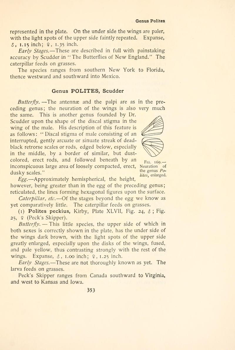 The butterfly book (Page 353, Fig. 169) BHL4428922