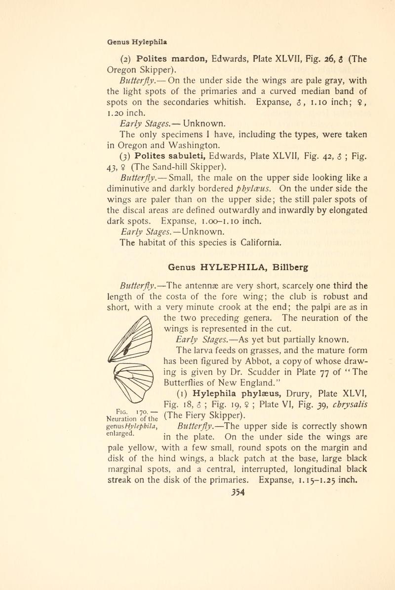 The butterfly book (Page 354, Fig. 170) BHL4428923