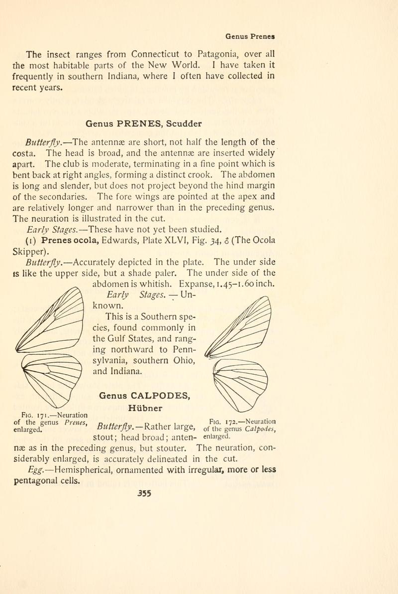 The butterfly book (Page 355, Figs. 171-172) BHL4428924