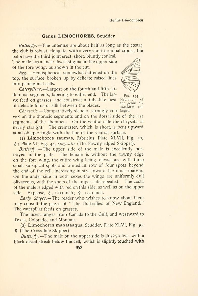 The butterfly book (Page 357, Fig. 174) BHL4428926