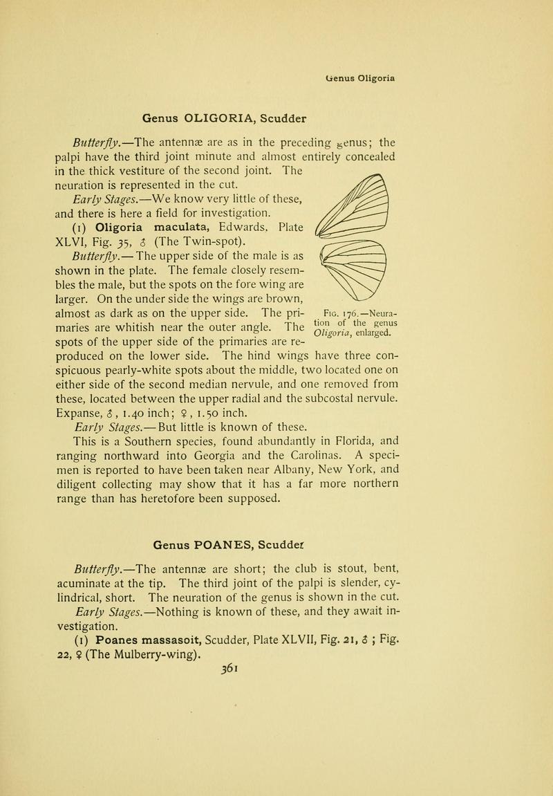 The butterfly book (Page 361) BHL10081529