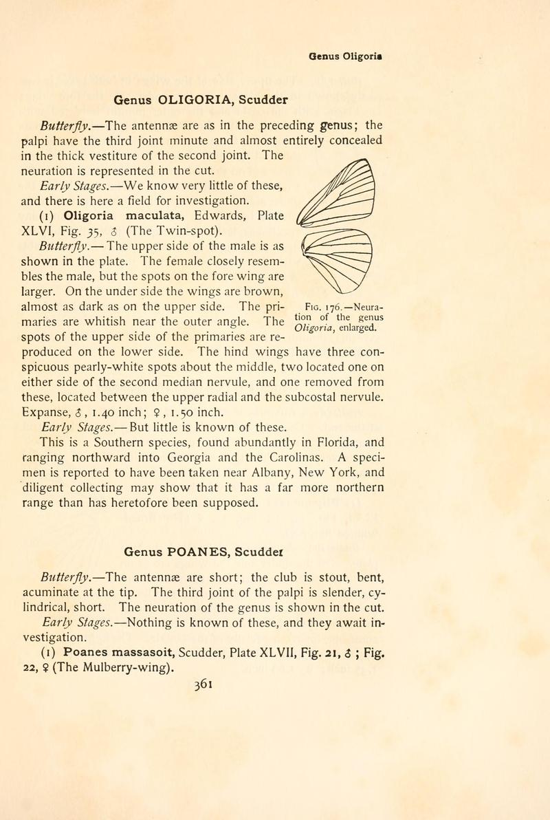 The butterfly book (Page 361, Fig. 176) BHL4428934