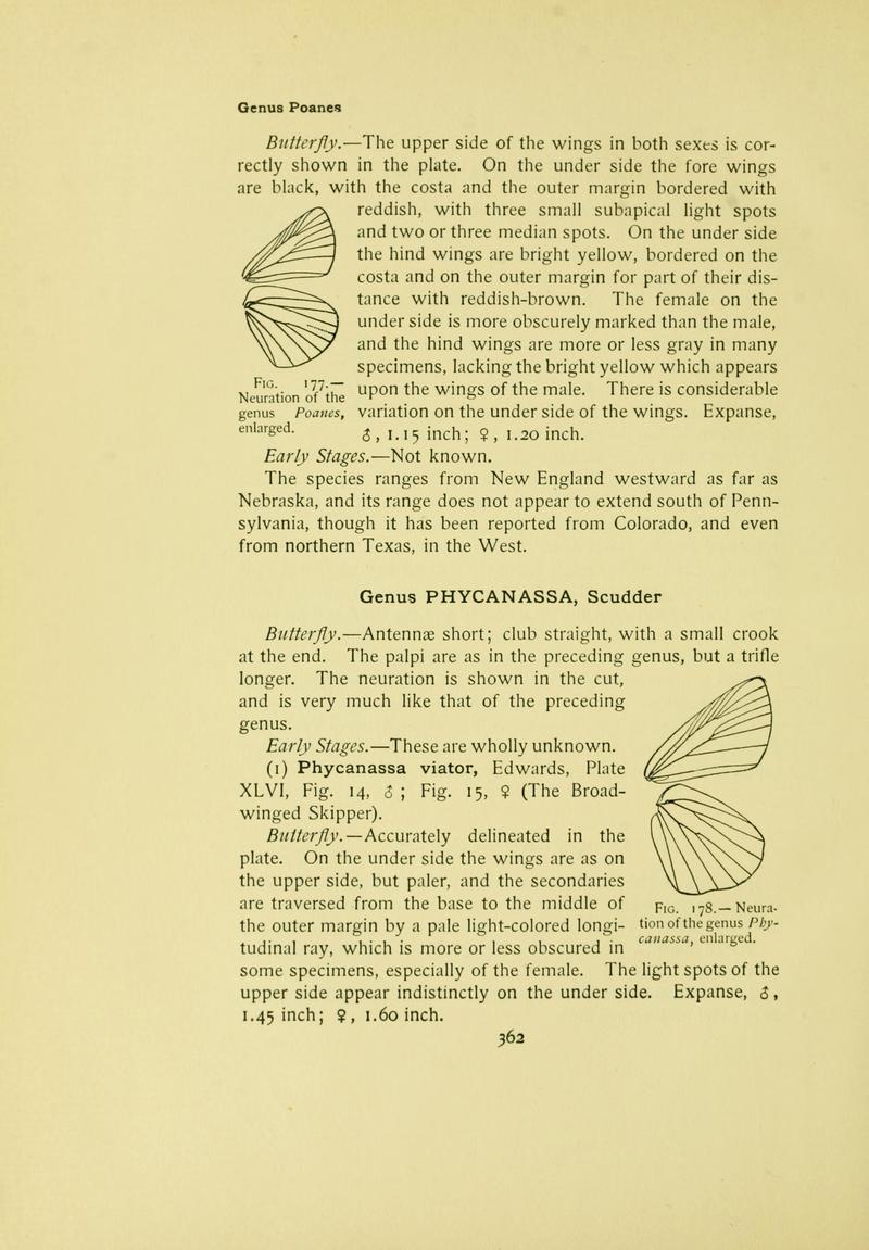 The butterfly book (Page 362) BHL10081530