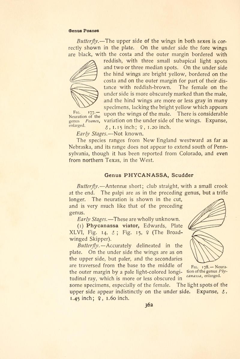 The butterfly book (Page 362, Figs. 177-178) BHL4428935