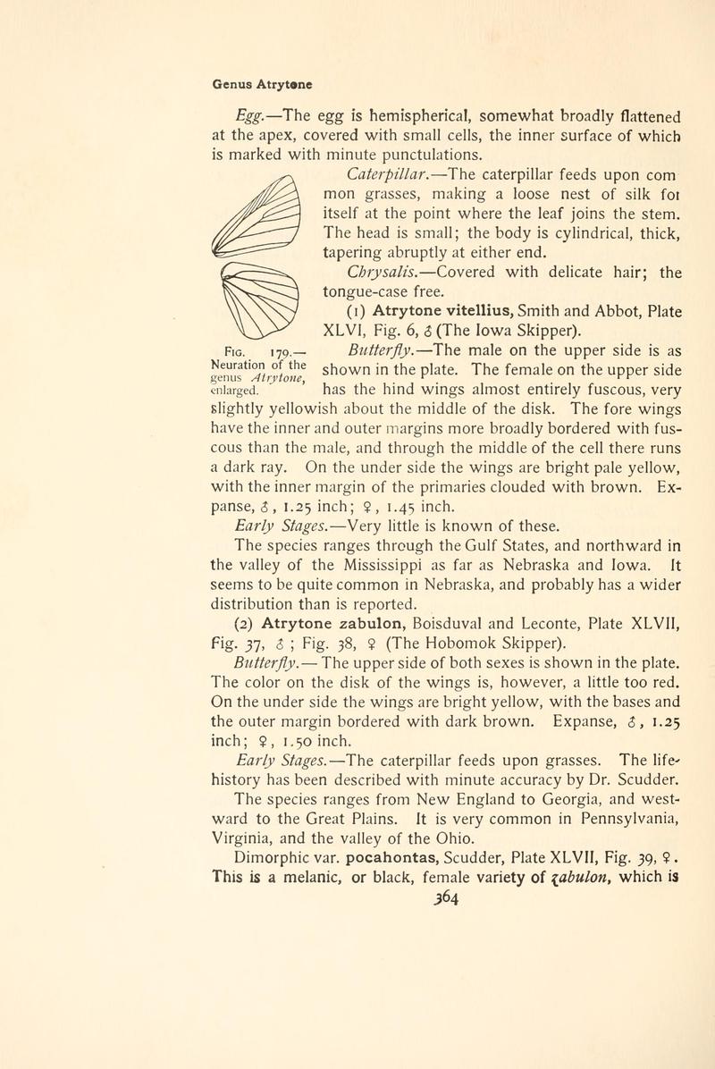 The butterfly book (Page 364, Fig. 179) BHL4428937