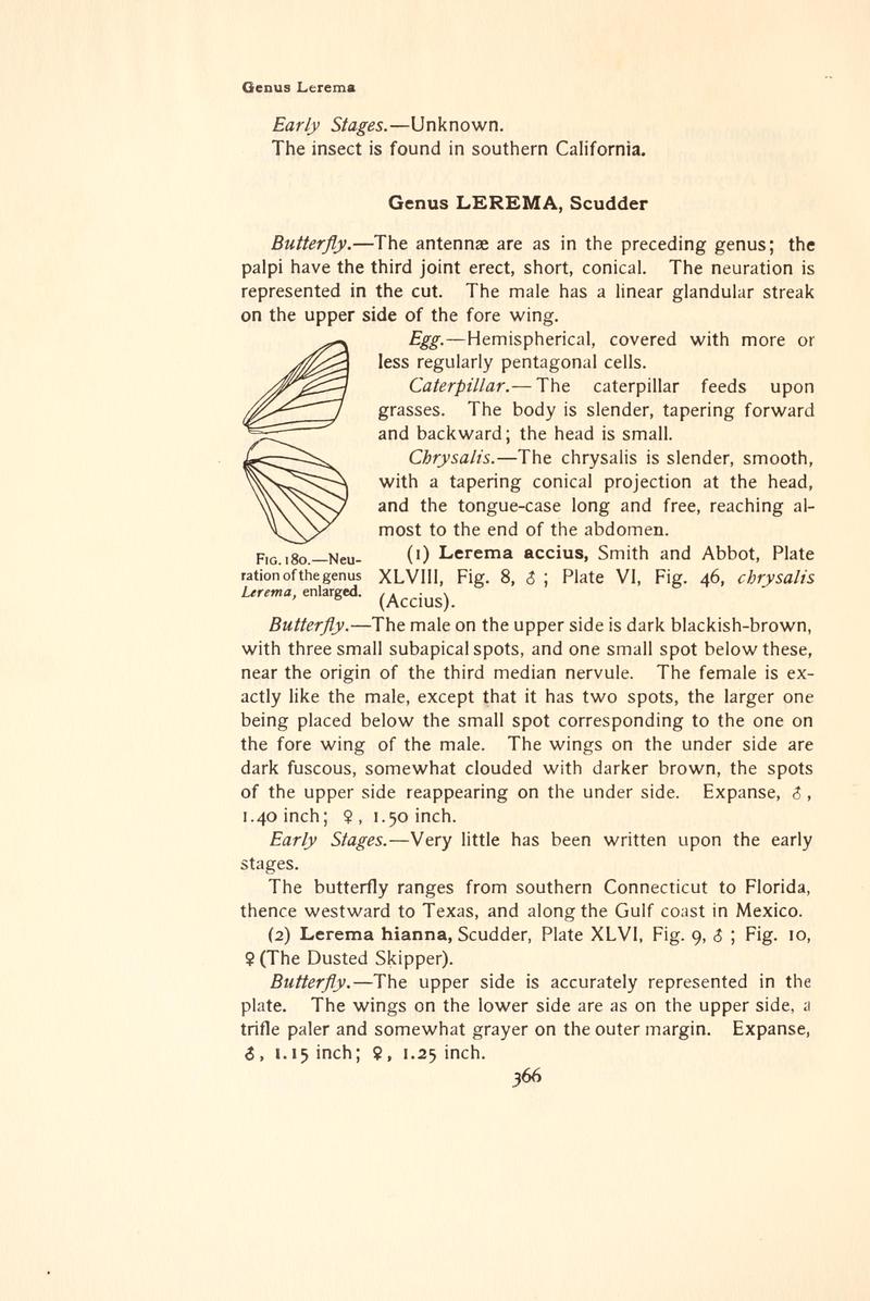 The butterfly book (Page 366, Fig. 180) BHL4428939