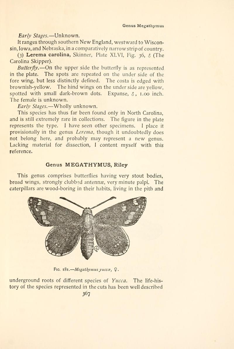 The butterfly book (Page 367, Fig. 181) BHL4428940