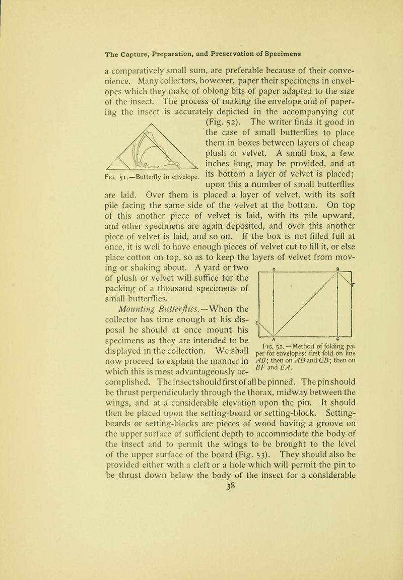 The butterfly book (Page 38) BHL10081030