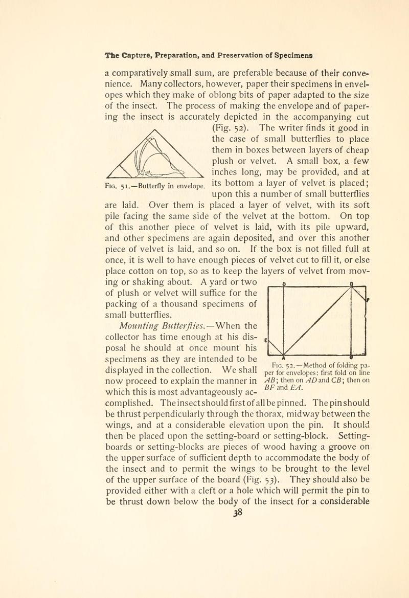 The butterfly book (Page 38, Figs. 51-52) BHL4428639