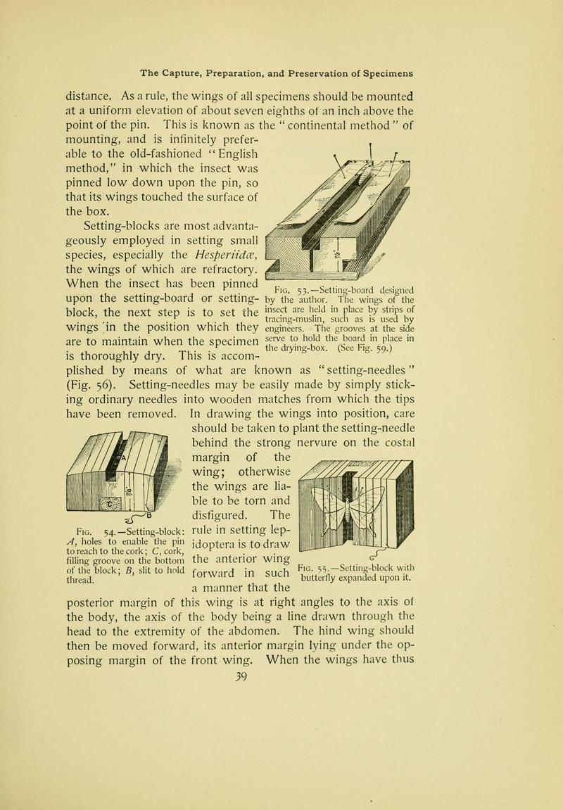 The butterfly book (Page 39) BHL10081031