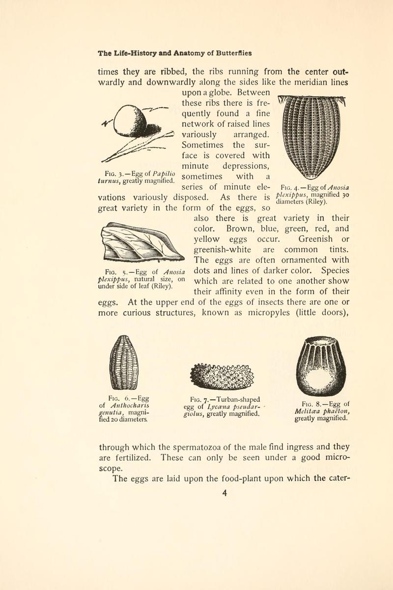 The butterfly book (Page 4, Figs. 3-8) BHL4428591