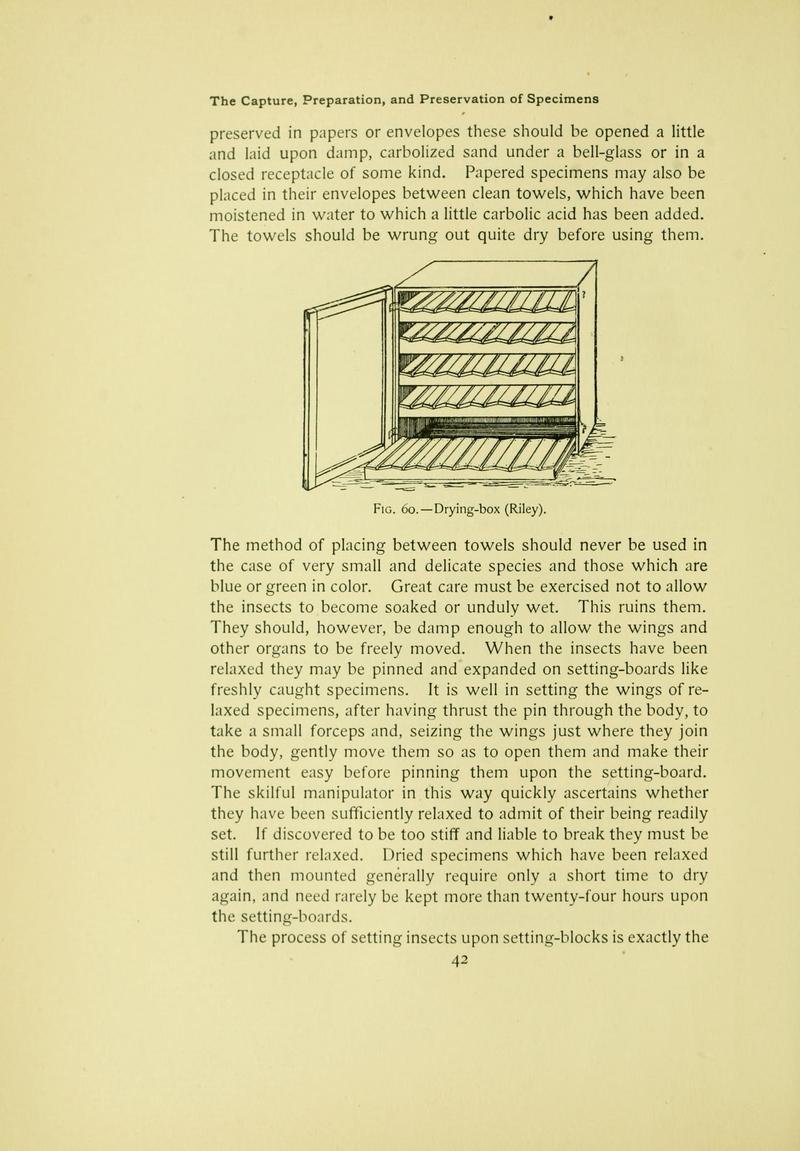 The butterfly book (Page 42) BHL10081034