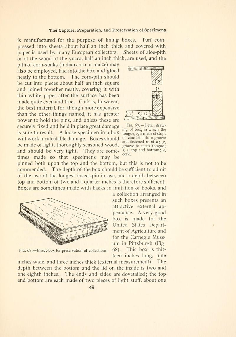 The butterfly book (Page 49, Figs. 67-68) BHL4428675