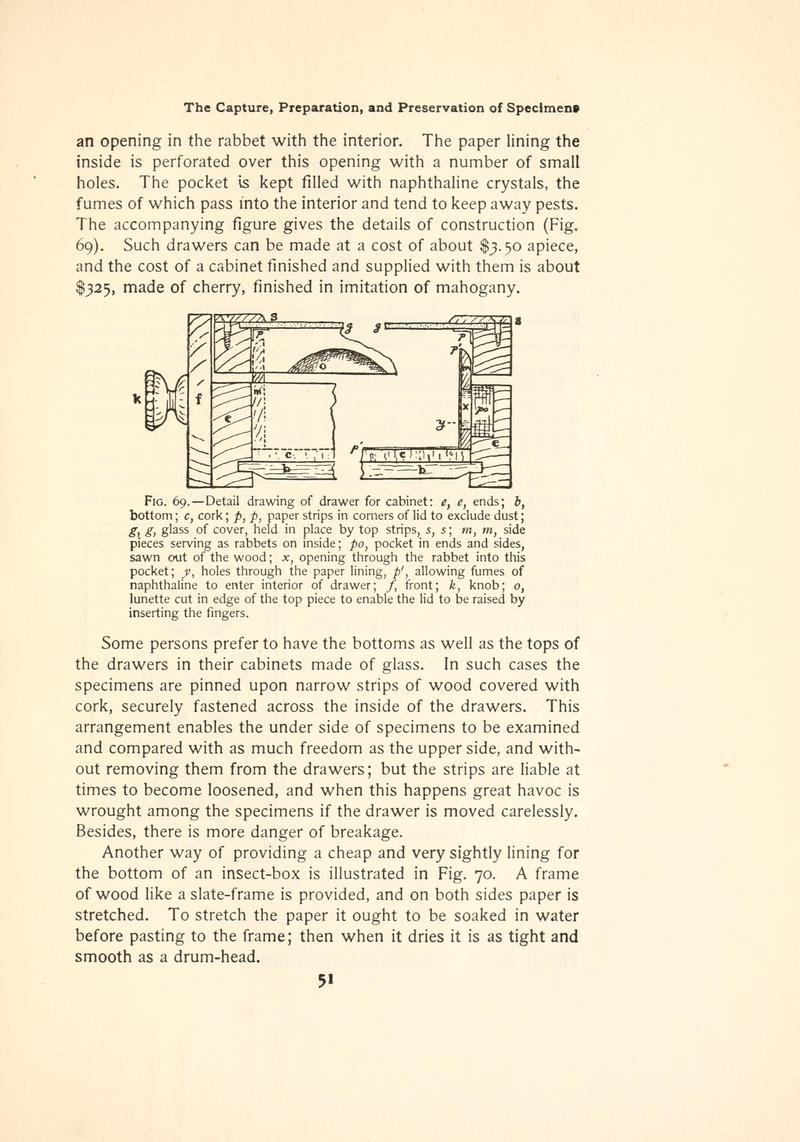 The butterfly book (Page 51, Fig. 69) BHL4428677