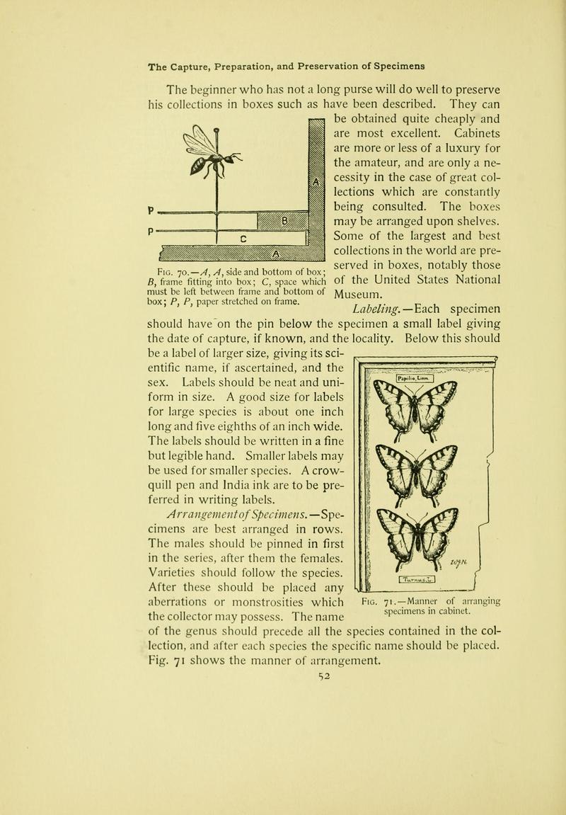 The butterfly book (Page 52) BHL10081048