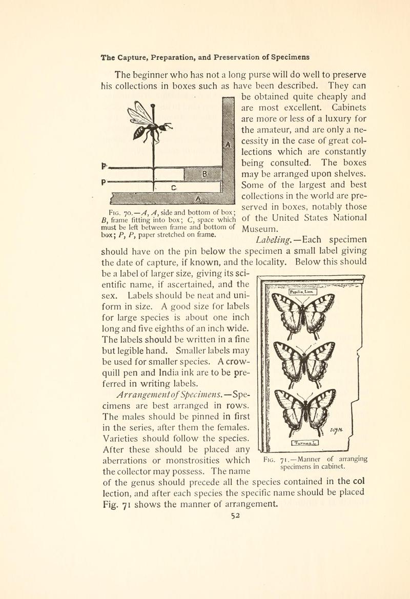 The butterfly book (Page 52, Figs. 70-71) BHL4428678
