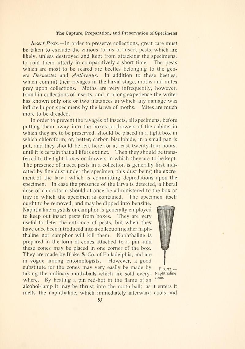 The butterfly book (Page 53, Fig. 72) BHL4428679