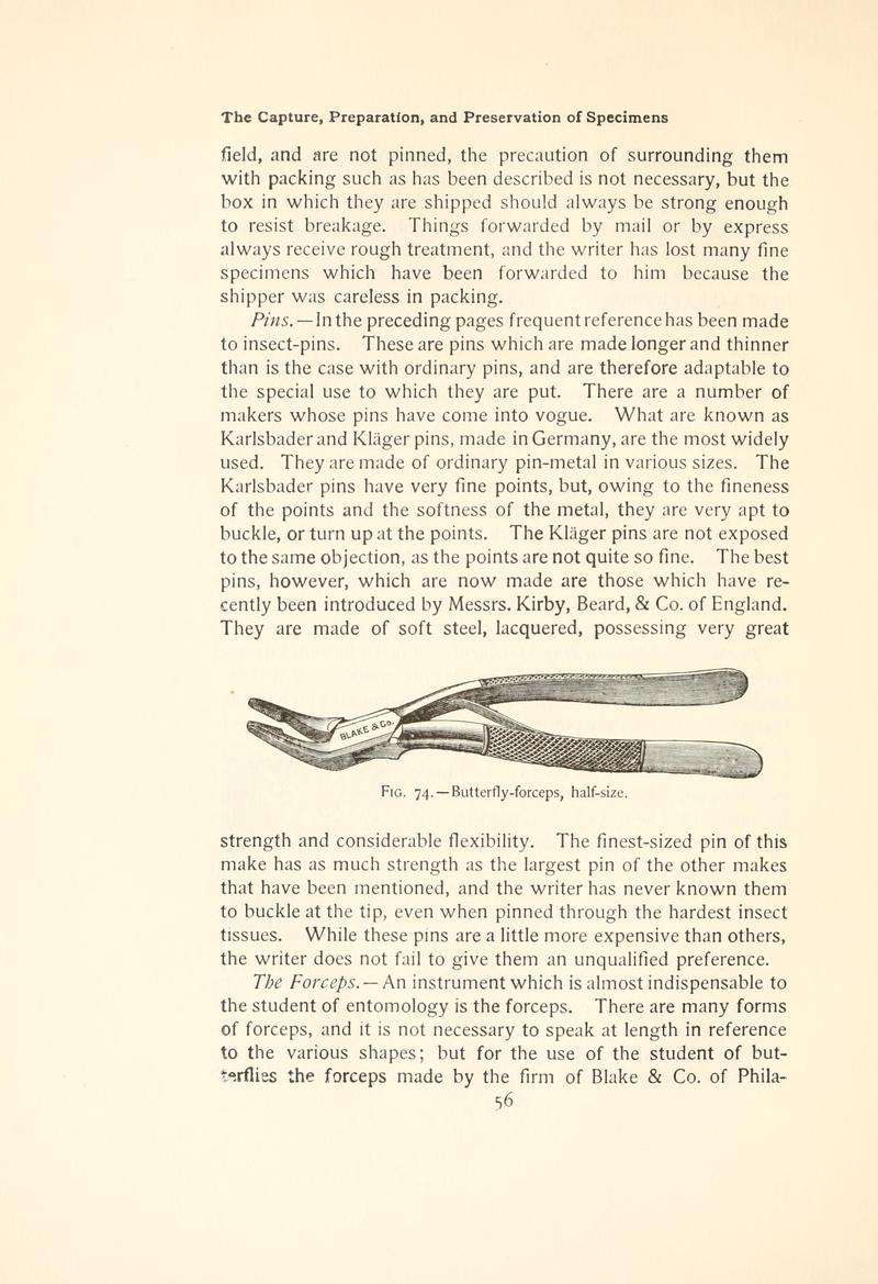 The butterfly book (Page 56, Fig. 74) BHL4428682