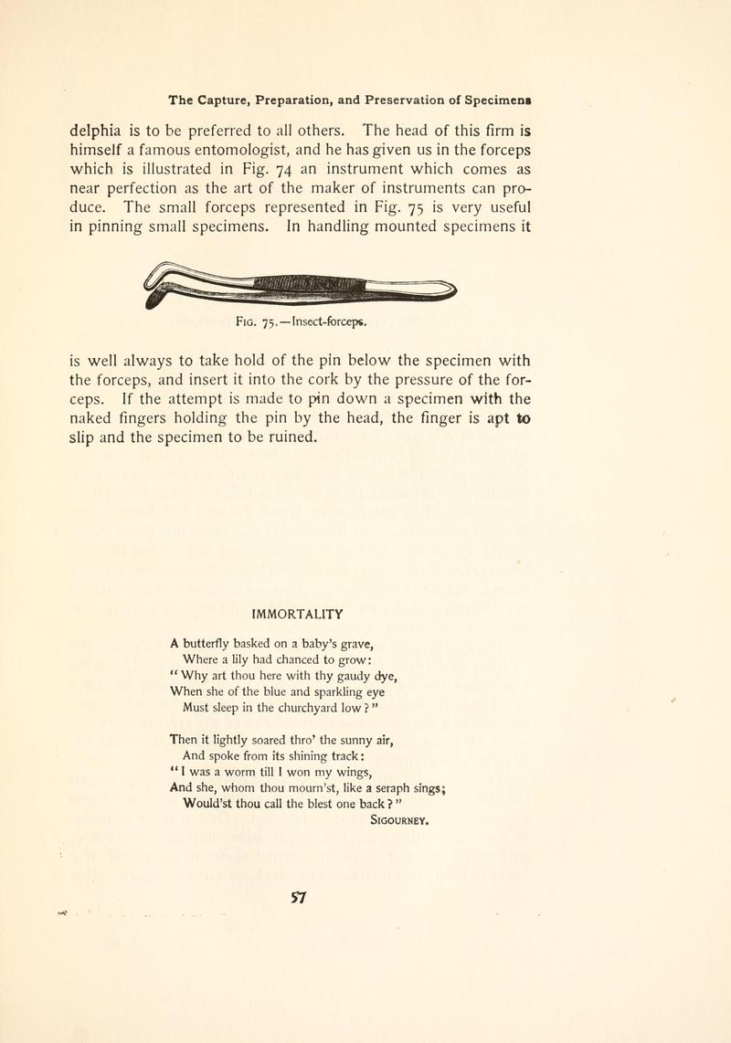 The butterfly book (Page 57, Fig. 75) BHL4428683