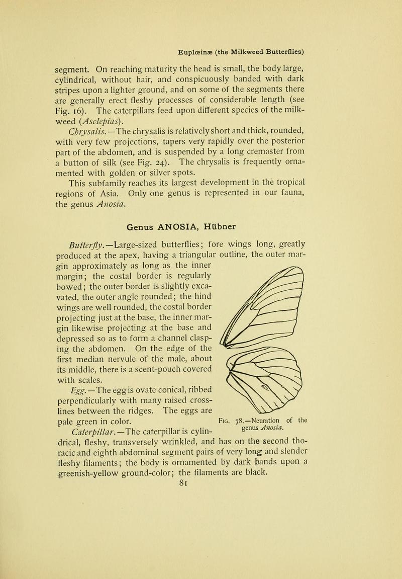 The butterfly book (Page 81) BHL10081085