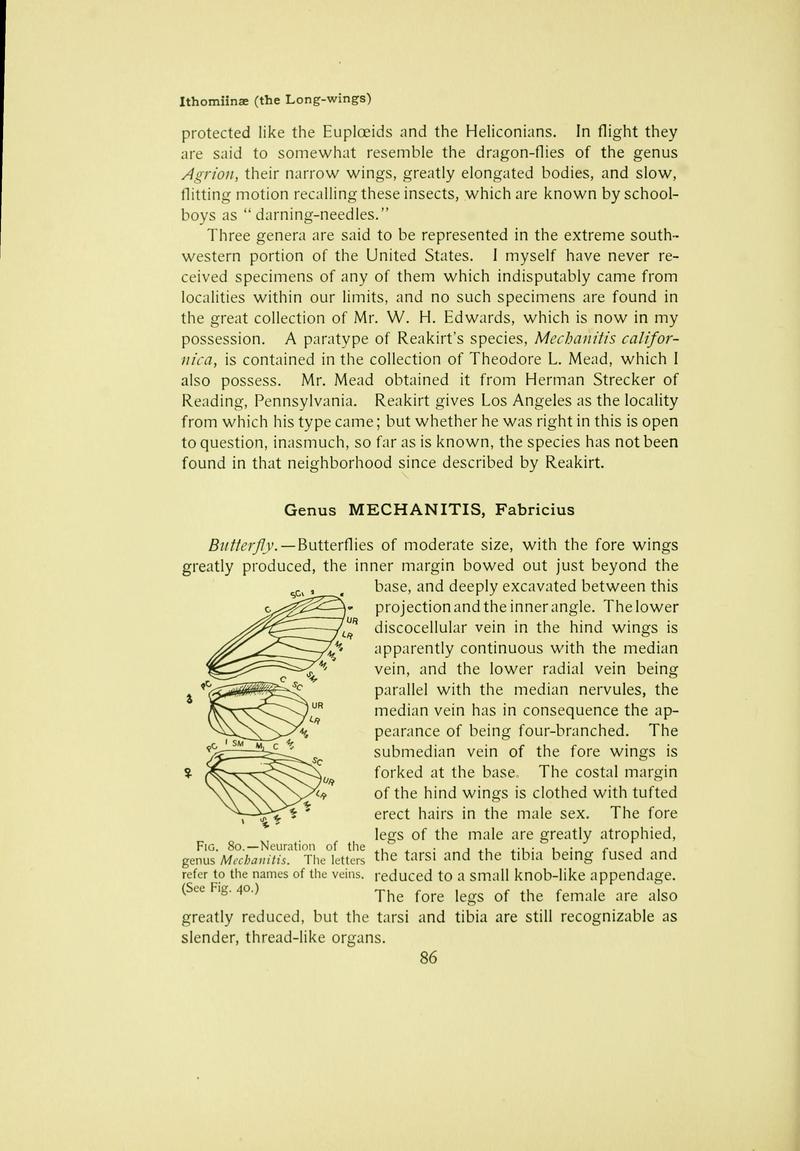 The butterfly book (Page 86) BHL10081090