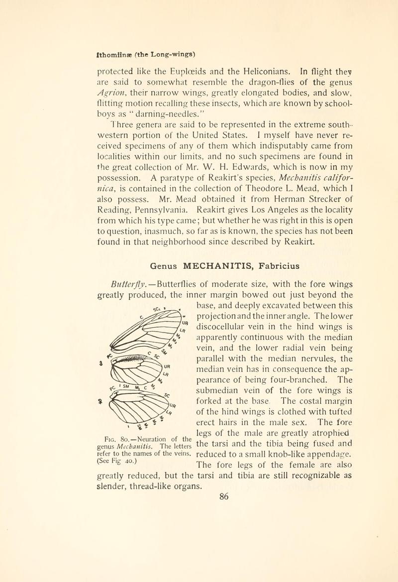 The butterfly book (Page 86, Fig. 80) BHL4428762