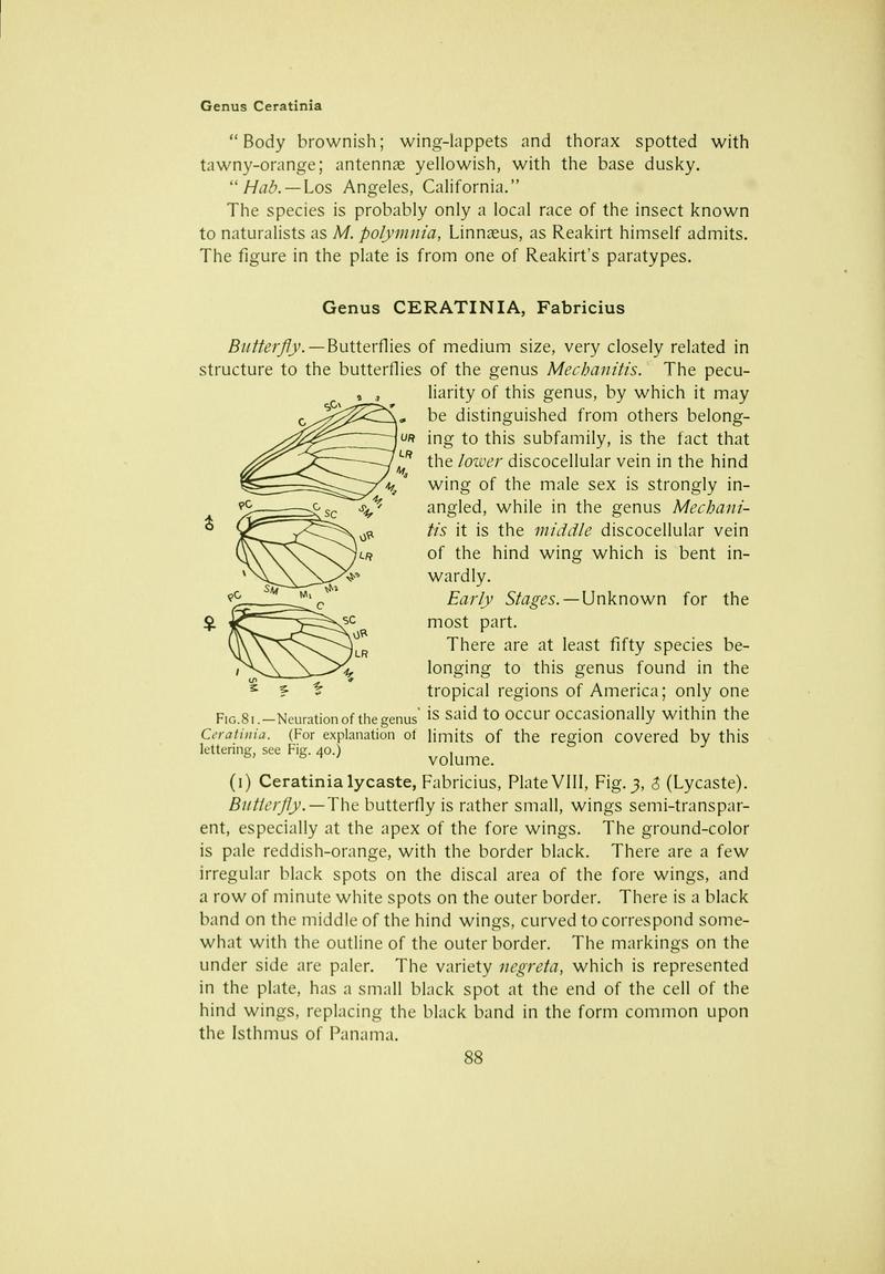 The butterfly book (Page 88) BHL10081092