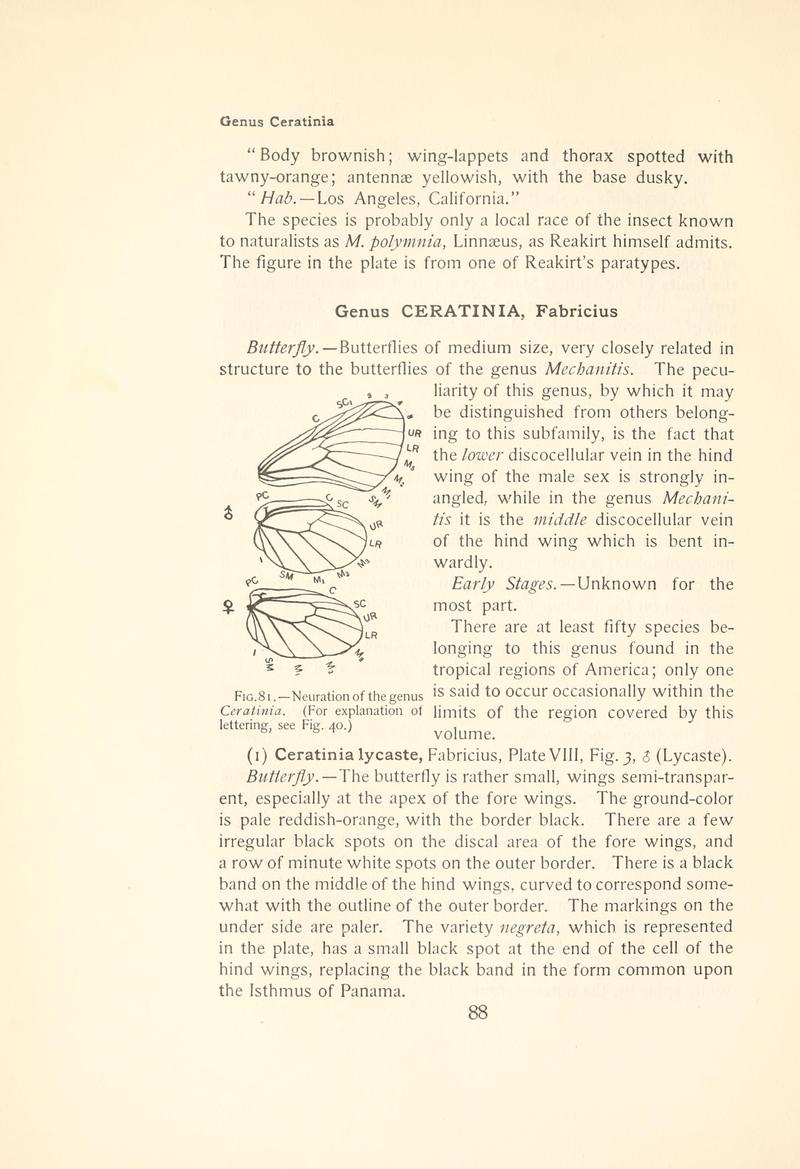 The butterfly book (Page 88, Fig. 81) BHL4428764