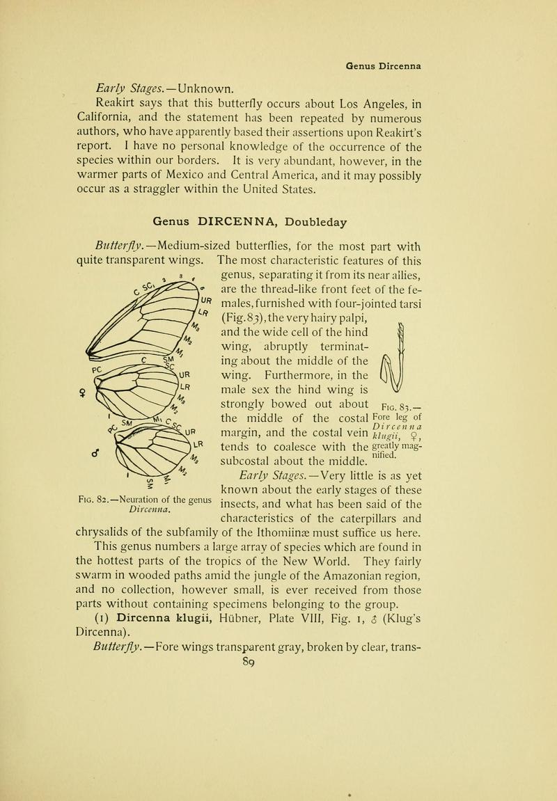 The butterfly book (Page 89) BHL10081097