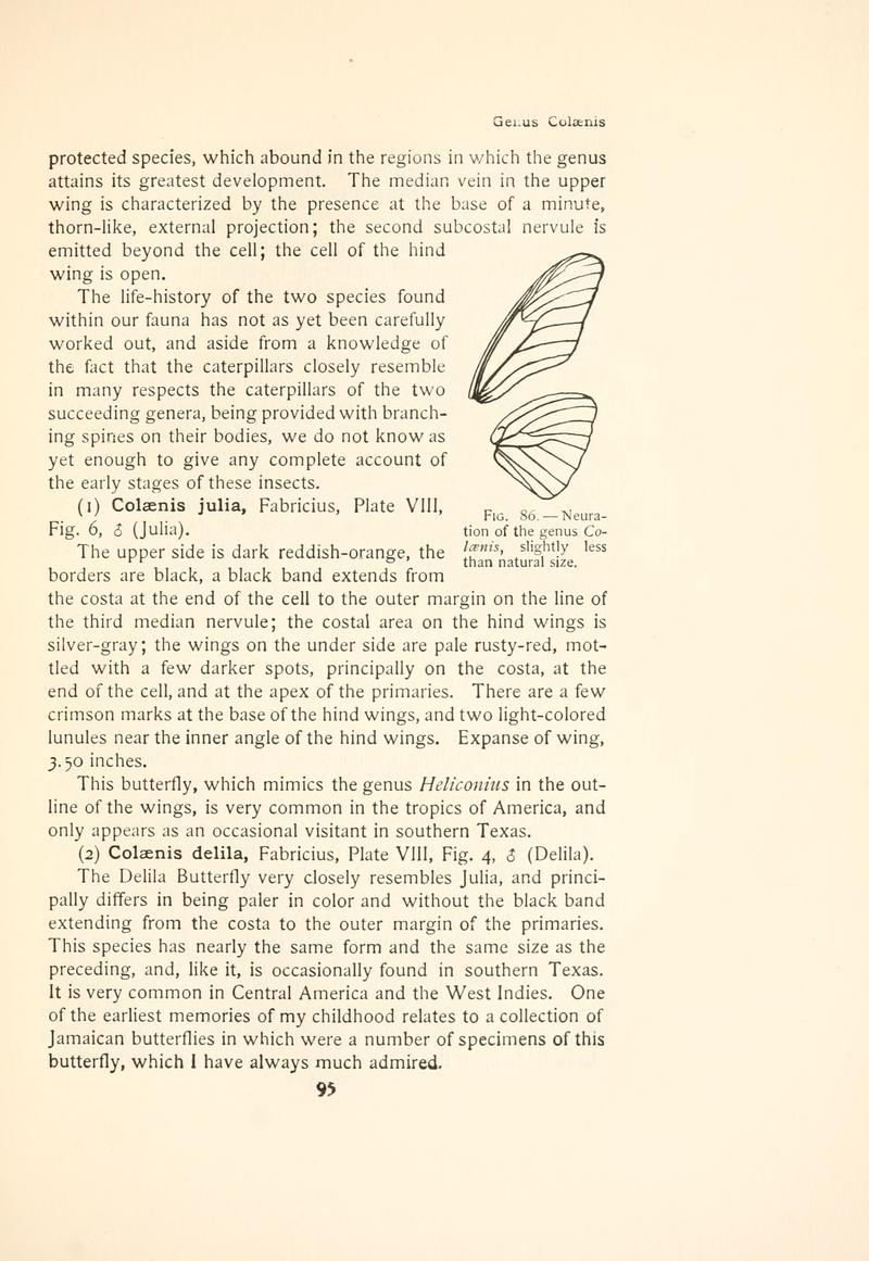 The butterfly book (Page 95, Fig. 86) BHL4428817