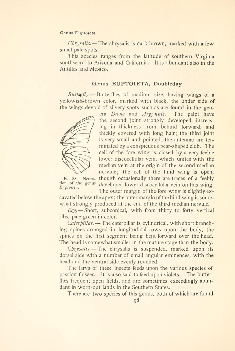 The butterfly book (Page 98, Fig. 88) BHL4428820