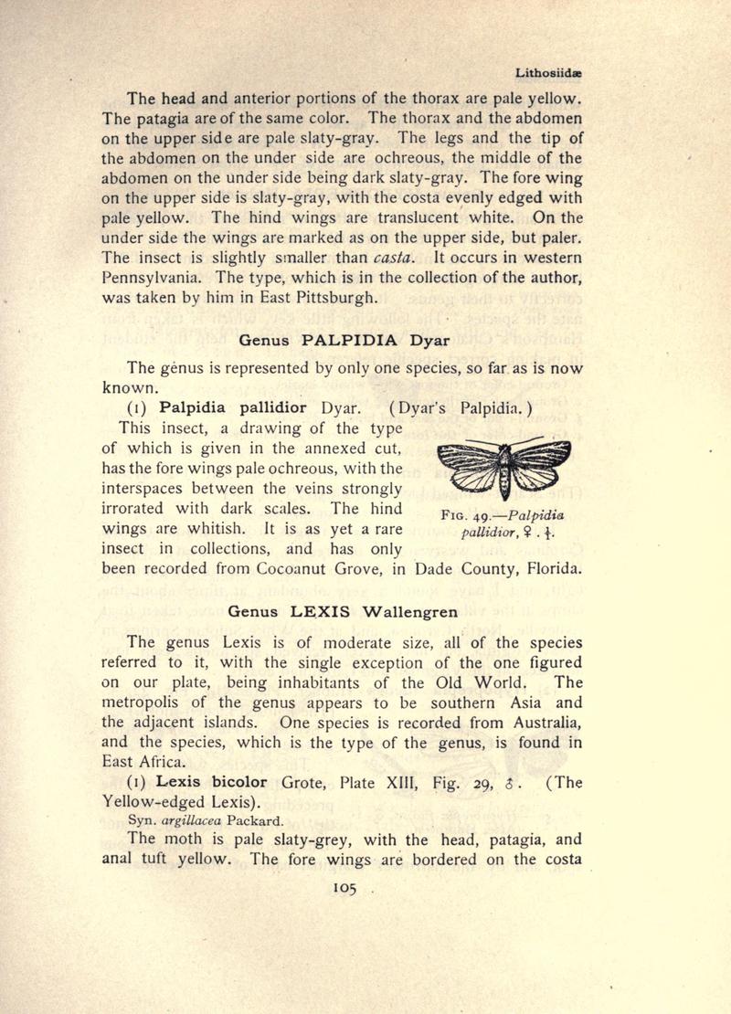 The moth book (Page 105, Fig. 49) BHL21853046