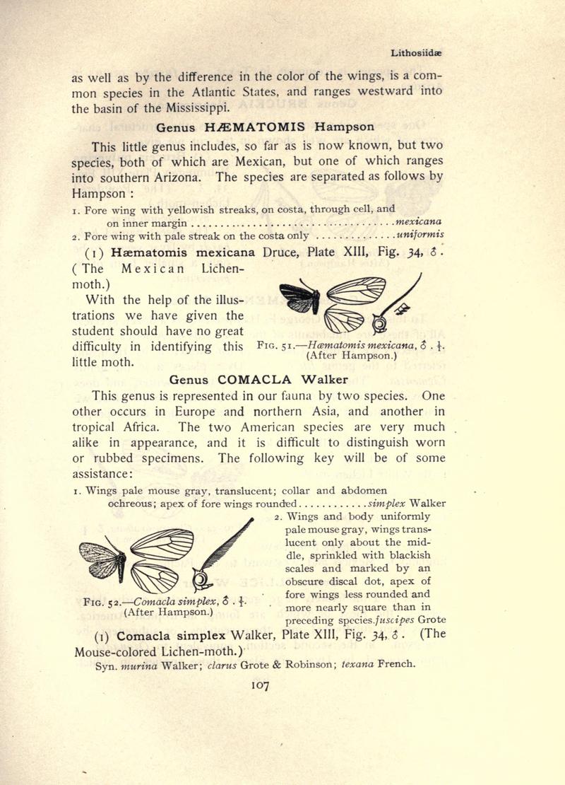 The moth book (Page 107, Figs. 51-52) BHL21853048