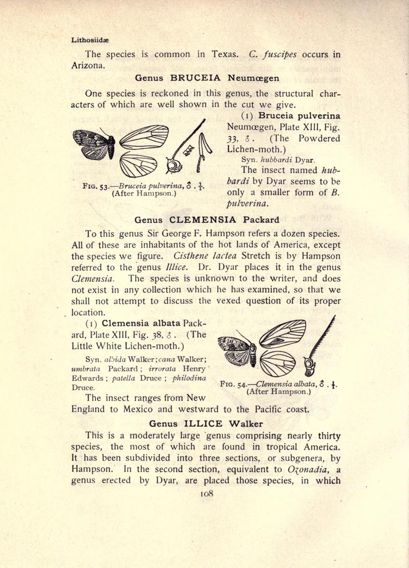 The moth book (Page 108, Figs. 53-54) BHL21853049