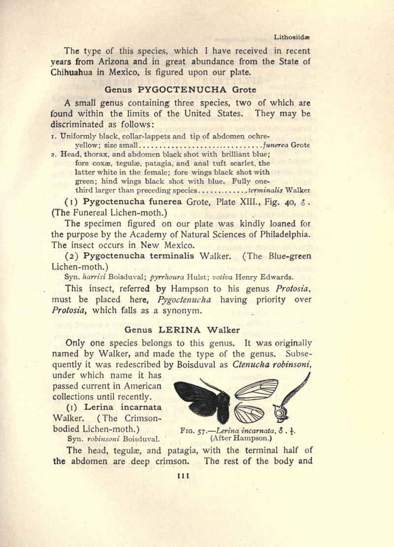 The moth book (Page 111, Fig. 57) BHL21853056