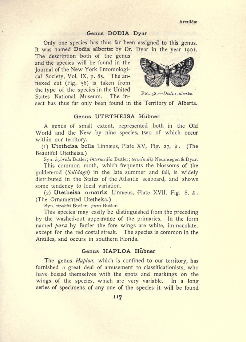 The moth book (Page 117, Fig. 58) BHL21853066