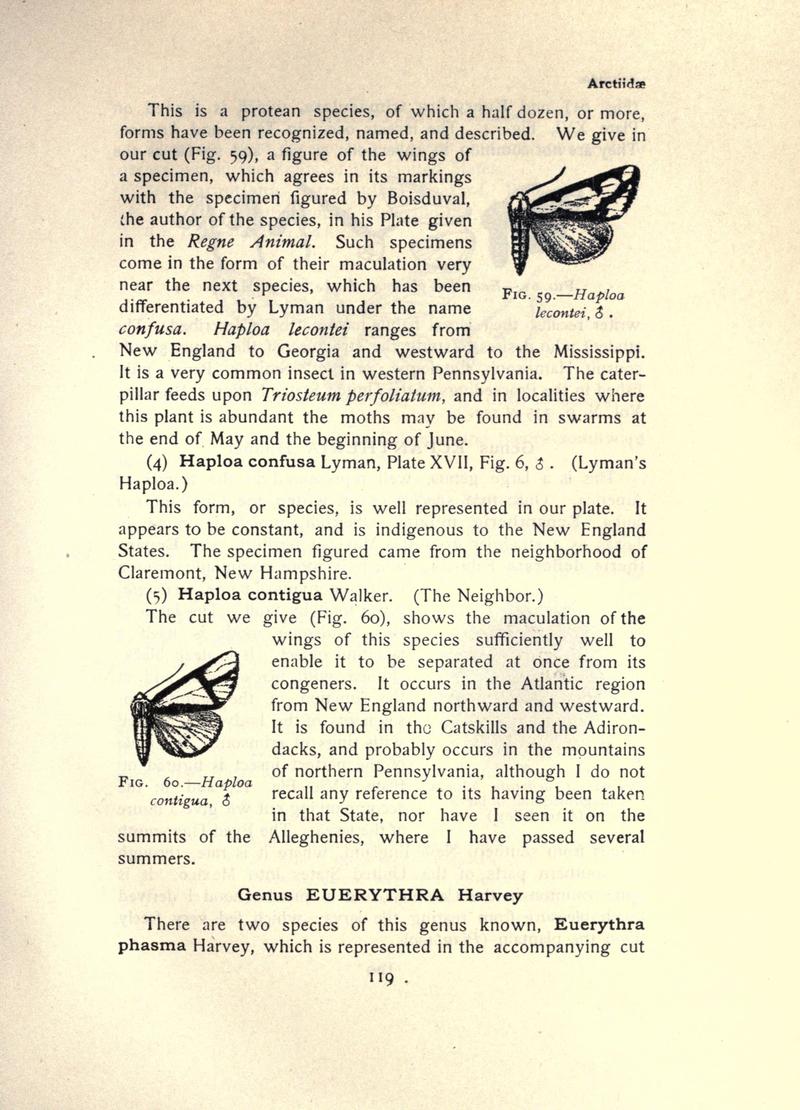 The moth book (Page 119, Figs. 59-60) BHL21853068
