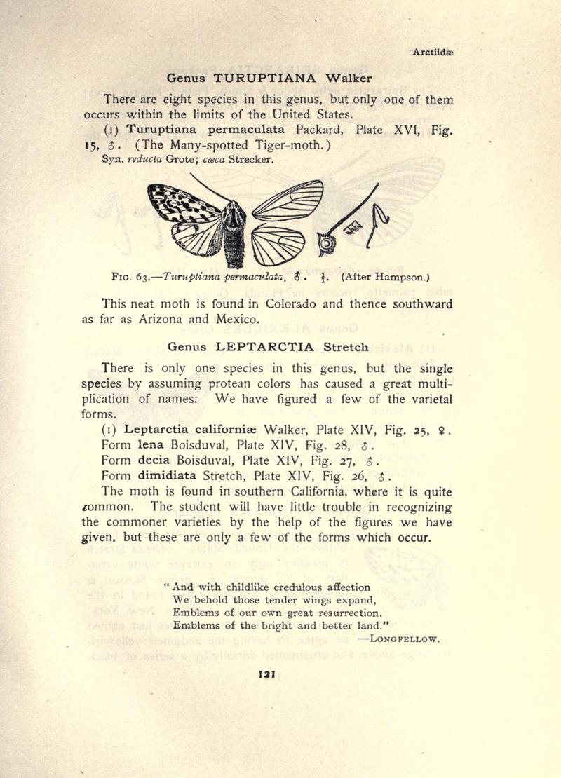 The moth book (Page 121, Fig. 63) BHL21853070