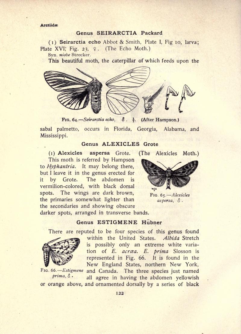 The moth book (Page 122, Figs. 64-66) BHL21853071